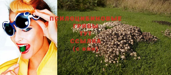 spice Магас