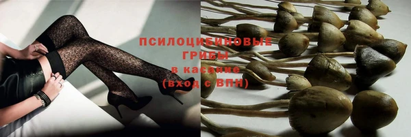 эйфоретик Осинники