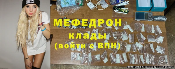 молекула духа Белая Холуница