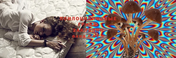 мет Медвежьегорск