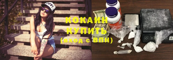 ешки Алексин