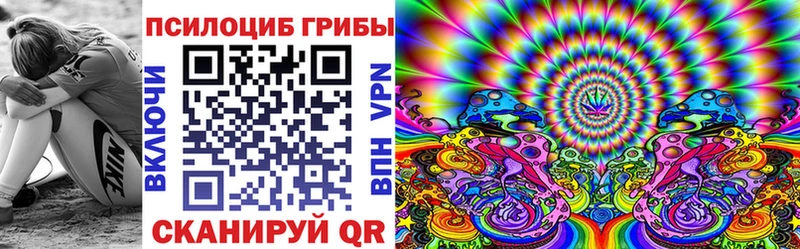 omg зеркало  сайты даркнета формула  Псилоцибиновые грибы GOLDEN TEACHER  Палласовка 