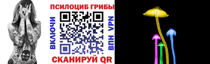 Псилоцибиновые грибы Psilocybine cubensis Палласовка